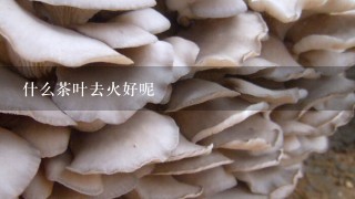 什么茶叶去火好呢