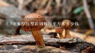 0.5毫米厚压型彩钢板每平方米多少钱