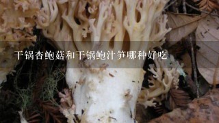 干锅杏鲍菇和干锅鲍汁笋哪种好吃