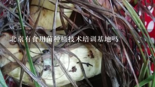 北京有食用菌种植技术培训基地吗