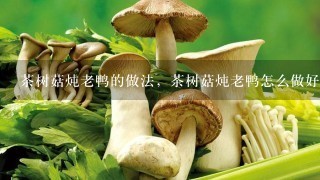 茶树菇炖老鸭的做法，茶树菇炖老鸭怎么做好吃