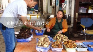 我想学习木耳培育技术