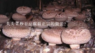 大头菜炒干豆腐最正宗的做法？