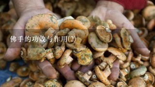 佛手的功效与作用(2)