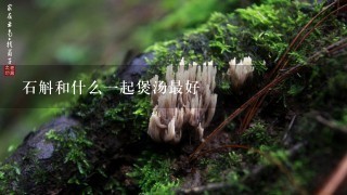 石斛和什么1起煲汤最好