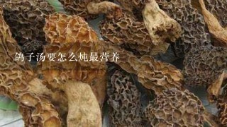 鸽子汤要怎么炖最营养