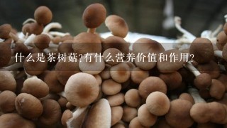 什么是茶树菇?有什么营养价值和作用?