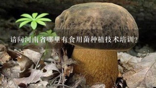 请问河南省哪里有食用菌种植技术培训？
