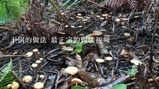 干锅的做法 最正宗的做法视频