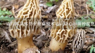 请问4川哪里有蘑菇技术培训中心和菌种提供的