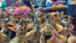 鸽子汤怎么炖最营养鸽