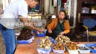 茶树菇炖鸡的方法