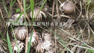 刚买回来的干花椒用什么装才好