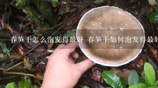 春笋干怎么泡发得最好 春笋干如何泡发得最好