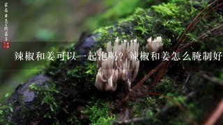 辣椒和姜可以1起泡吗？辣椒和姜怎么腌制好吃？