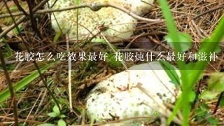 花胶怎么吃效果最好 花胶炖什么最好和滋补