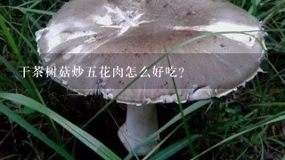 干茶树菇炒5花肉怎么好吃？