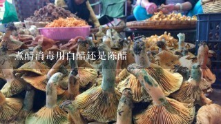 煮醋消毒用白醋还是陈醋