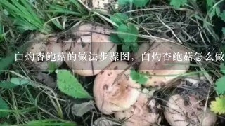 白灼杏鲍菇的做法步骤图，白灼杏鲍菇怎么做