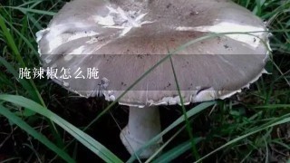 腌辣椒怎么腌