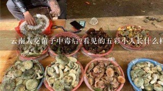 云南人吃菌子中毒后?看见的5彩小人长什么样？