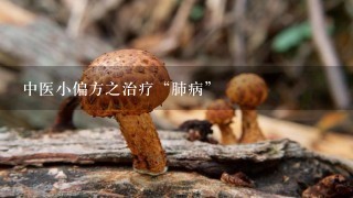 中医小偏方之治疗“肺病”