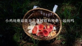 小鸡炖蘑菇能放点茶树菇和榛蘑1起炖吗