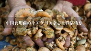 中国食用菌的中国食用菌杂志社投稿信息