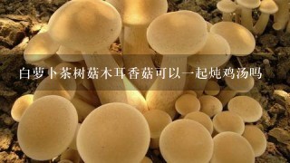 白萝卜茶树菇木耳香菇可以1起炖鸡汤吗