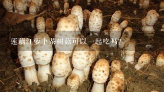 莲藕红萝卜茶树菇可以1起吃吗?