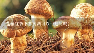 莲藕红萝卜茶树菇可以1起吃吗?