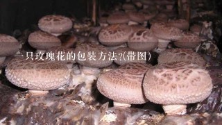 1只玫瑰花的包装方法?(带图）