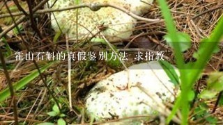 霍山石斛的真假鉴别方法 求指教