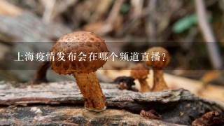 上海疫情发布会在哪个频道直播？