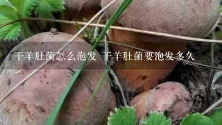 干羊肚菌怎么泡发 干羊肚菌要泡发多久