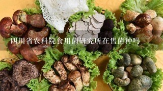 4川省农科院食用菌研究所在售菌种吗