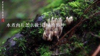 水煮肉片怎么做?超辣的那种