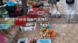 2020年中国省农业产量排行？