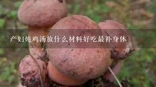 产妇炖鸡汤放什么材料好吃最补身体