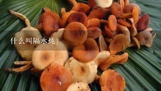 什么叫隔水炖？