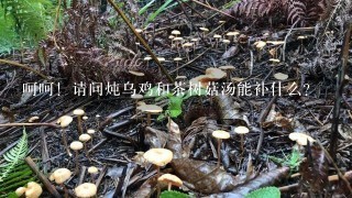 呵呵！请问炖乌鸡和茶树菇汤能补什么？