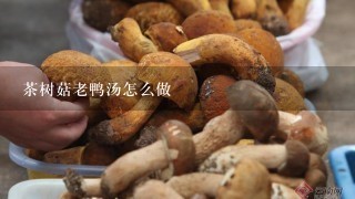 茶树菇老鸭汤怎么做