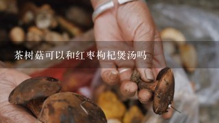 茶树菇可以和红枣枸杞煲汤吗