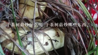 干茶树菇炒什么呢 干茶树菇炒哪些东西