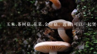 玉米,茶树菇,花菜,金针菇、莲藕,可以1起煲排骨汤吗