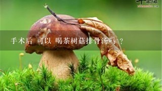 手术后 可以 喝茶树菇排骨汤吗 ?