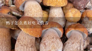 鸭子怎么煮好吃又营养