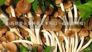 山药胡萝卜茶树菇玉米可以1起炖老鸭吗？