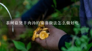 茶树菇煲羊肉汤的家常做法怎么做好吃