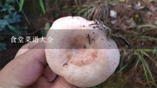 食堂菜谱大全